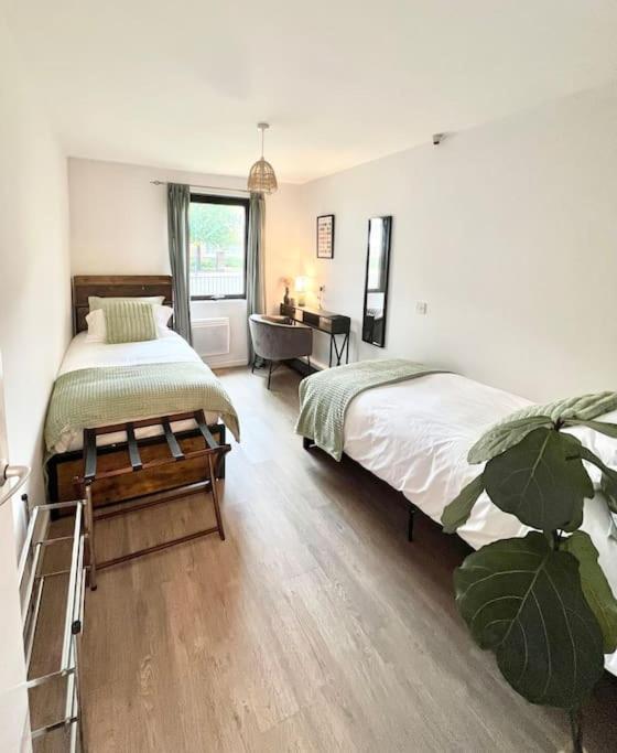 Gorgeous Flat 10 Min Walk To Stadium Free Parking London Kültér fotó